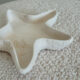 Starfish