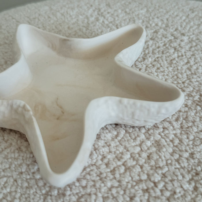 zeester Starfish