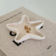 Starfish