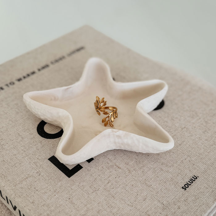 zeester3 Starfish